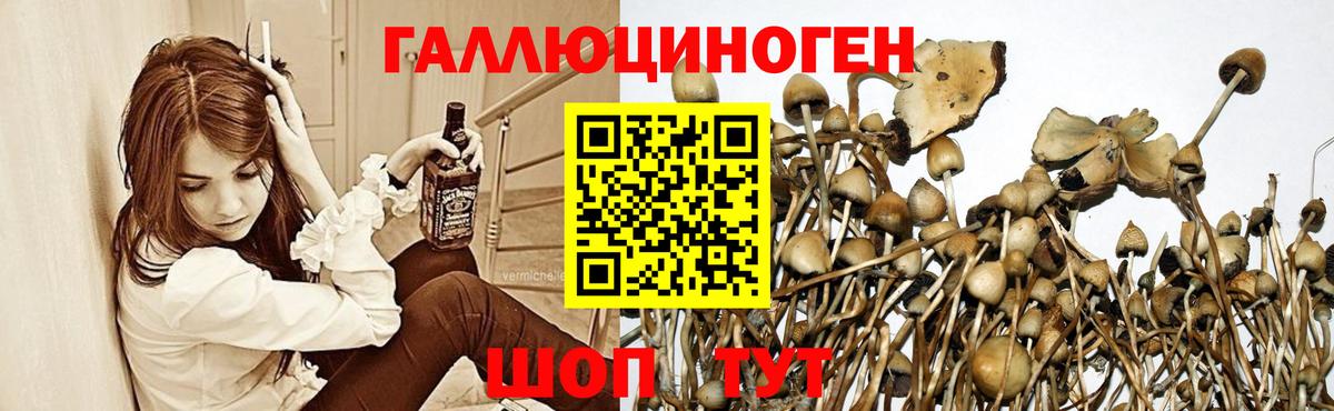 Россошь  Псилоцибиновые грибы Psilocybe  Вход с VPN 