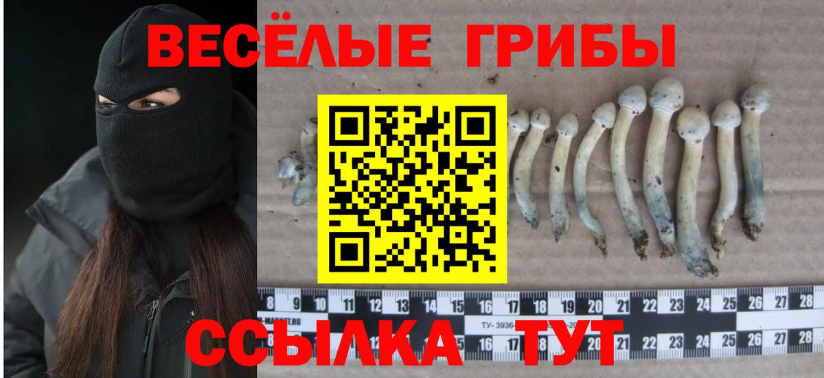 Псилоцибиновые грибы GOLDEN TEACHER Россошь